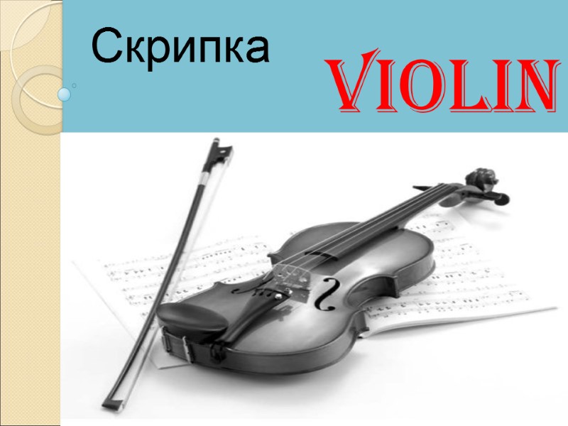 Violin Скрипка